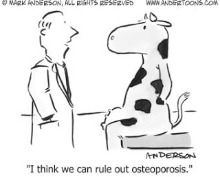 osteoporosis (2)